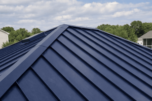 Metal Roof Standing Seams (1)